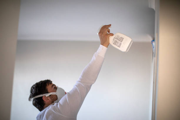 Best Mold Remediation  in Greenville, NC
